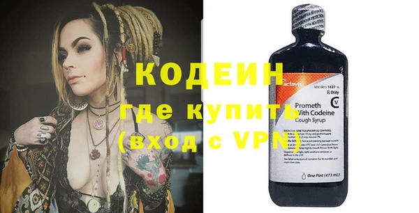индика Абаза