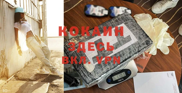 винт Алексин
