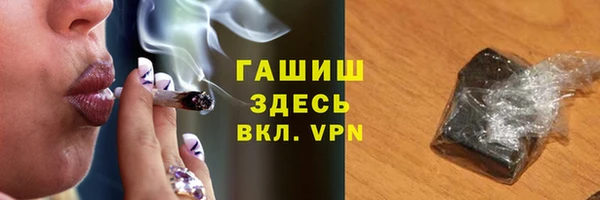 индика Абаза