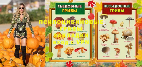 мдпв Михайловск