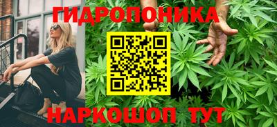 гашиш Обь