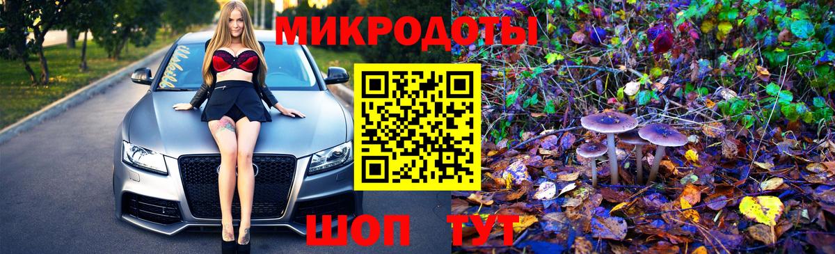 Галлюциногенные грибы прущие грибы  Вход с VPN  Истра 